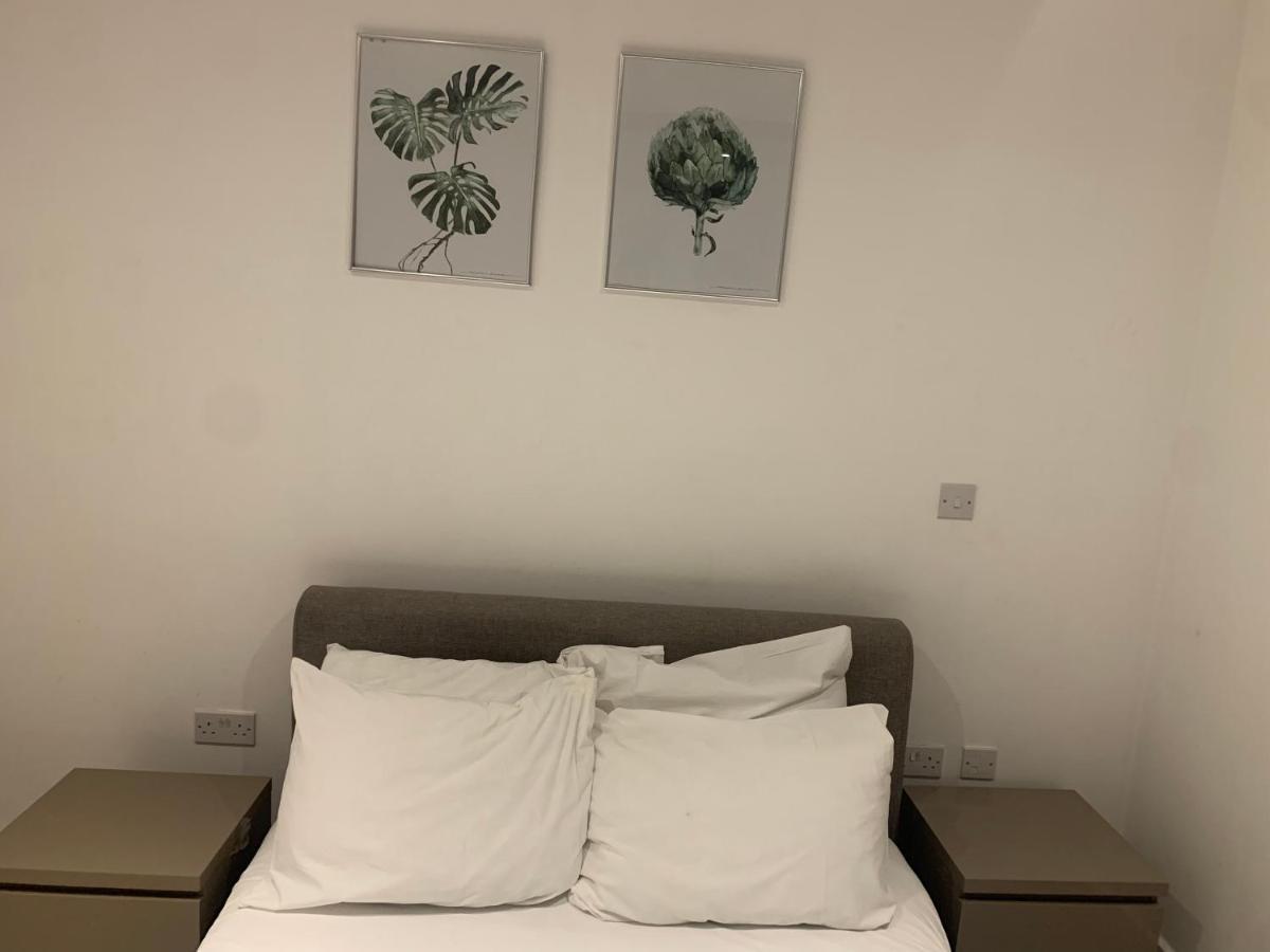 2 Bedroom 2 Bath 1 Ensuite In Roya Asenal Beautiful Views & Parking London Kültér fotó